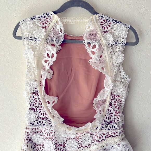 Alexis Lace Dress  - Picture 7 of 10